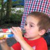 Sommergrillen 2014